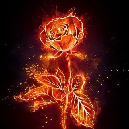 Роза Файер Крейг