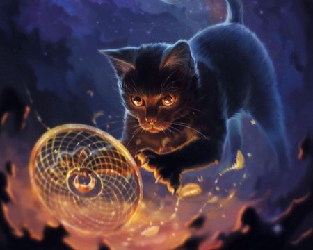 Волшебный кот