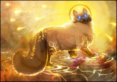 Магический кот