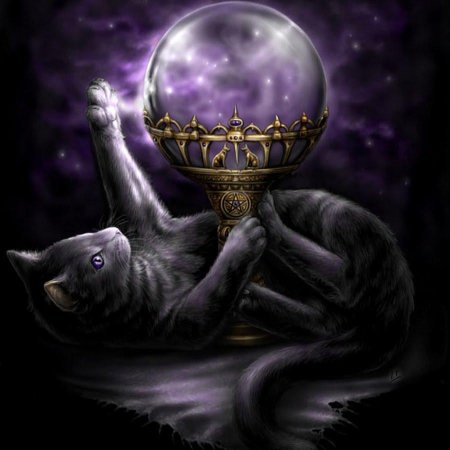 Фамильяр ведьмы черный кот