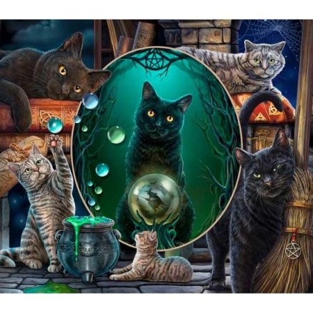 Коты и магия