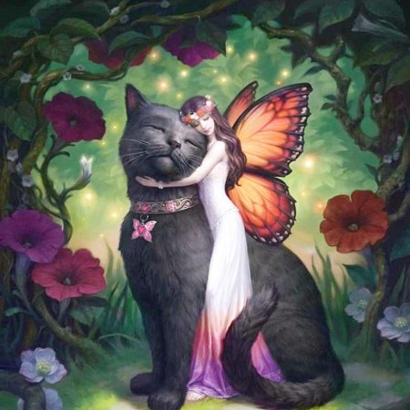 Кошка фея