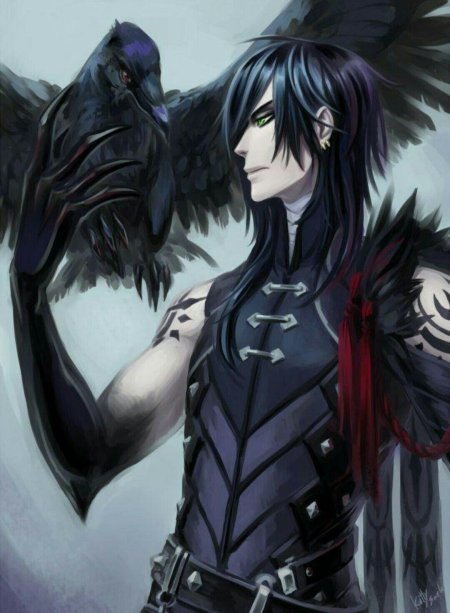 Чернокрылый Король аниме