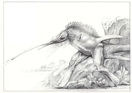 Уэйн Барлоу картины Дарвин 4