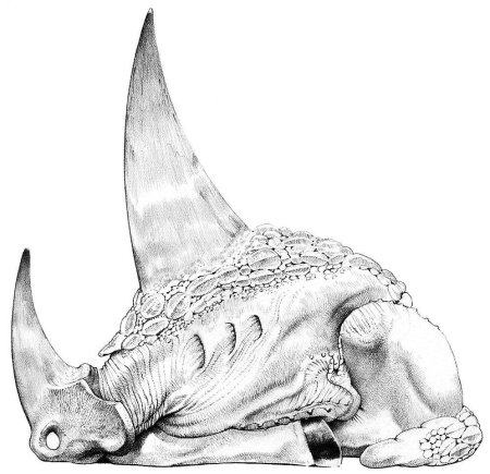 Уэйн Барлоу картины Дарвин 4