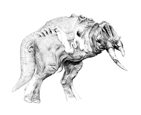 Дарвин 4 Уэйн Барлоу