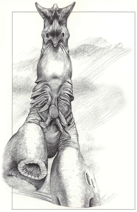 Дарвин 4 Уэйн Барлоу