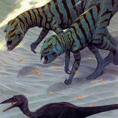 Уэйн Дуглас Барлоу