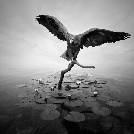 Грустная птица