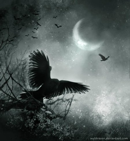 Вороны арт