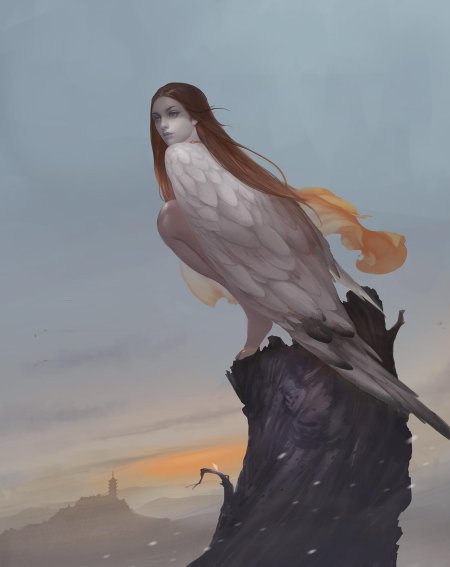 Девушка птица