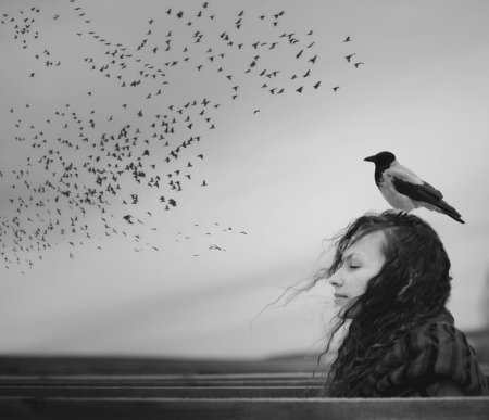 Грустная птица