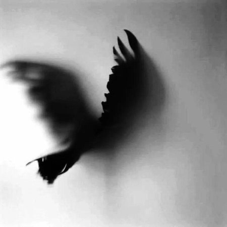 Ангел в тумане