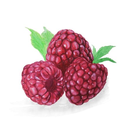 Плод малины многокостянка