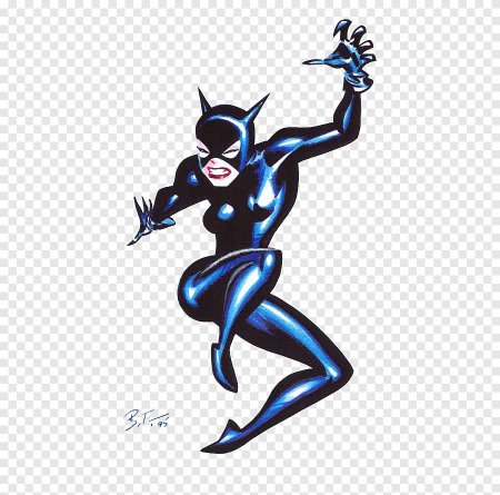 Catwoman Bruce Timm