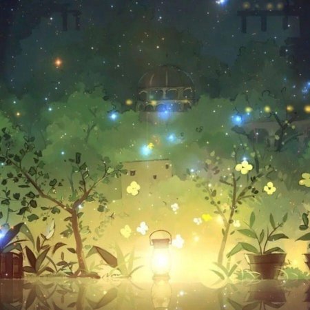 Бохоль светлячки