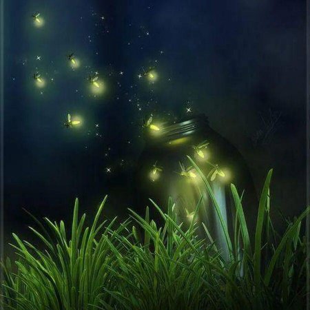 Бохоль светлячки