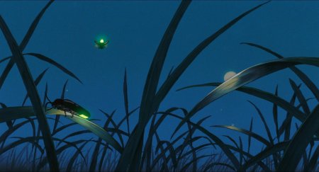 Светлячки ночью