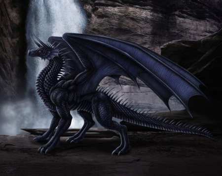 Шадоу дракон