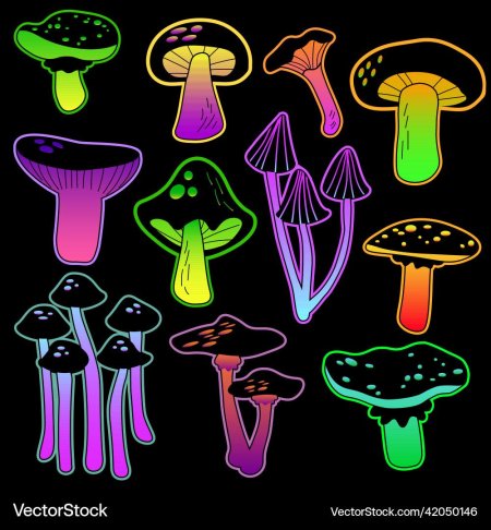 Неоновые грибы