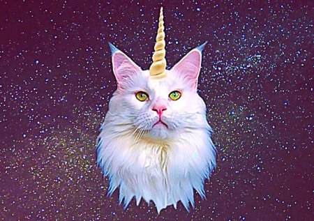 Кошка с рогами