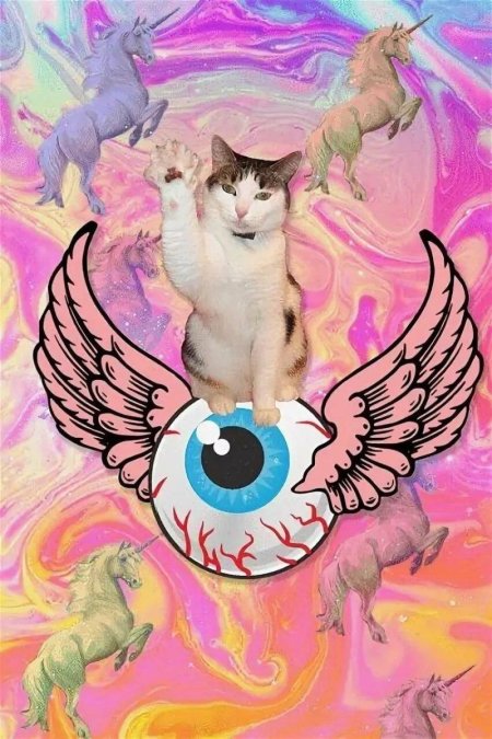 Кошка Единорог