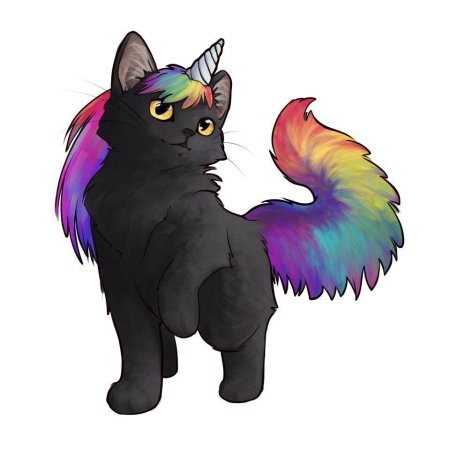 Радужный кот коты Воители