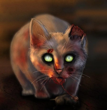 Коты Воители Чешир