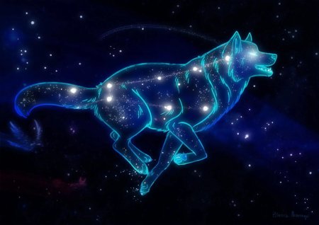 Созвездие волка