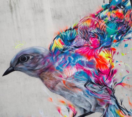 Граффити птица