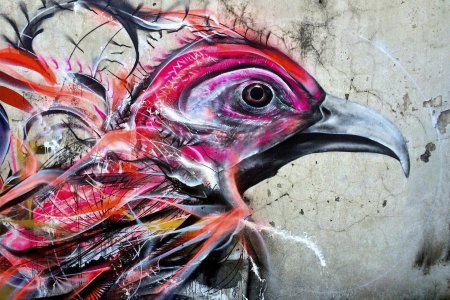 Стрит арт птицы