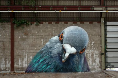 Pigeon стрит арт