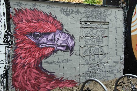 Феникс стрит арт