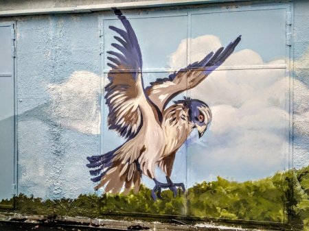 Чайка граффити