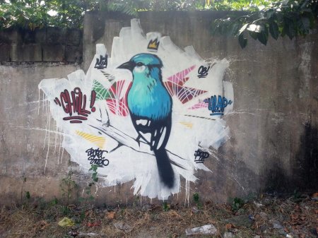 Граффити птица