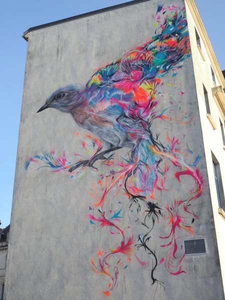 Граффити птица