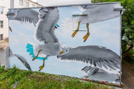 Стрит арт Чайки Екатеринбург