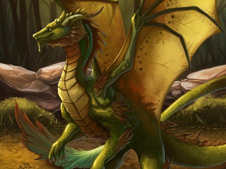 Брим зелёный дракон