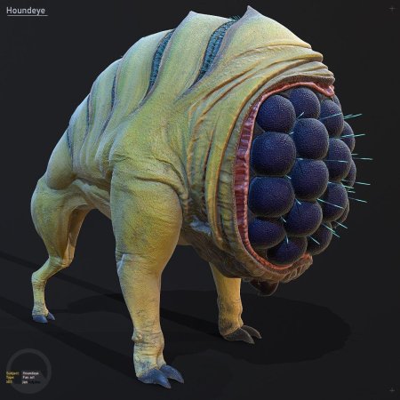 Хаундай half Life Art