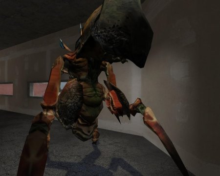 Half Life 2 Страж муравьиных Львов