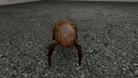 Half Life 2 Хедкраб на голове