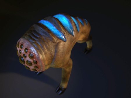 Хаундай халф лайф