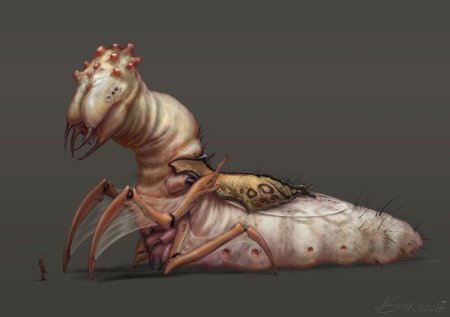 Муравьиные львы half Life