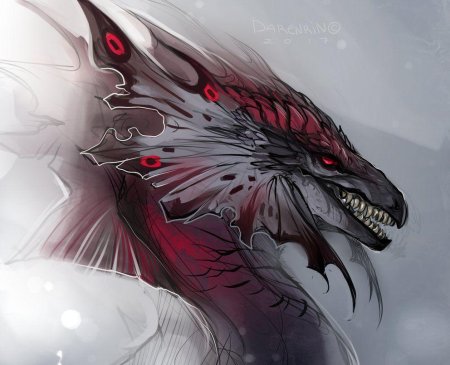 Драконы Darenrin