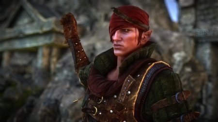 Эльф ведьмак