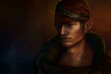 Ведьмак эльф иорвет