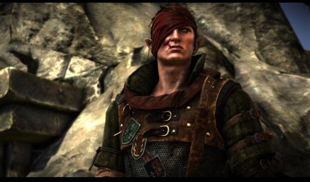 Иорвет Ведьмак 2