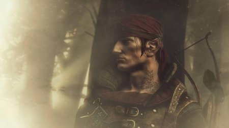 Ведьмак эльф иорвет