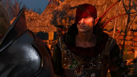 Ведьмак йорвет и роше