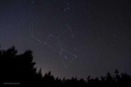 Созвездие Ориона на небе